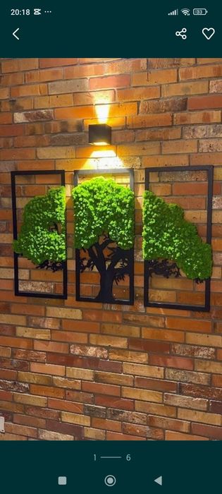 Drzewo bonsai obraz mech chrobotek