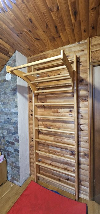 Дитяча шведська стінка 220 з навісними кільцями