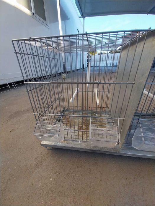 Gaiola pássaros - usada