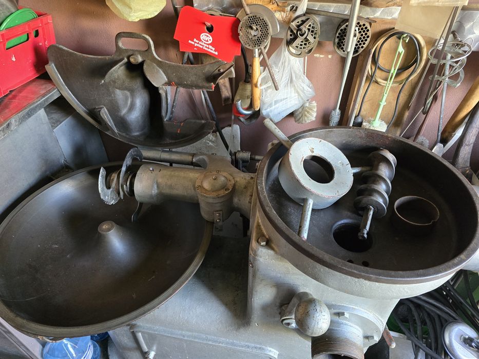 Kuter-wilk masarski.