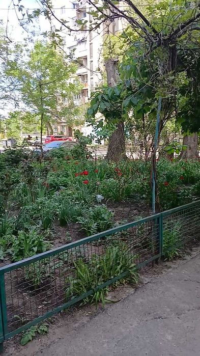 (3-50)Однокомнатная квартира в спальном районе