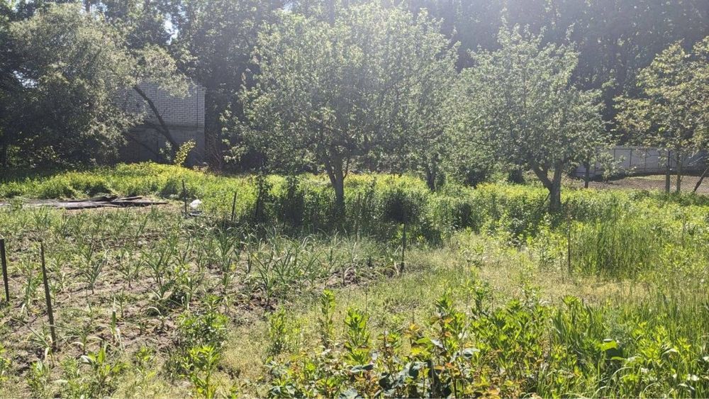 Продам дачу біля лісу садове товариство «Горизонт»