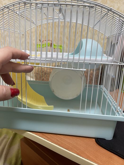 Новая клетка для хомяка