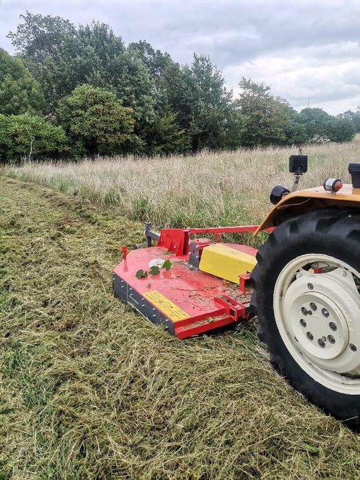 Koszenie/czyszczenie działek/karczowanie/wycinka drzew/porządkowanie
