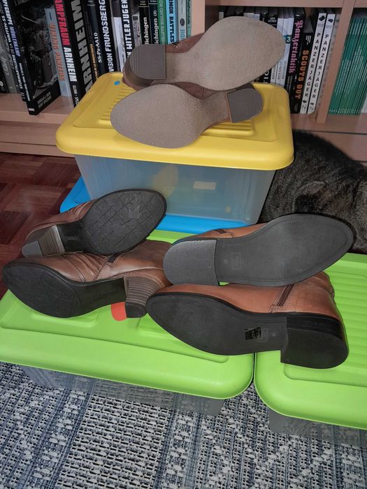 Botas de cano baixo, tamanhos 36 e 37. Tamaris, Pikolinos, Dune