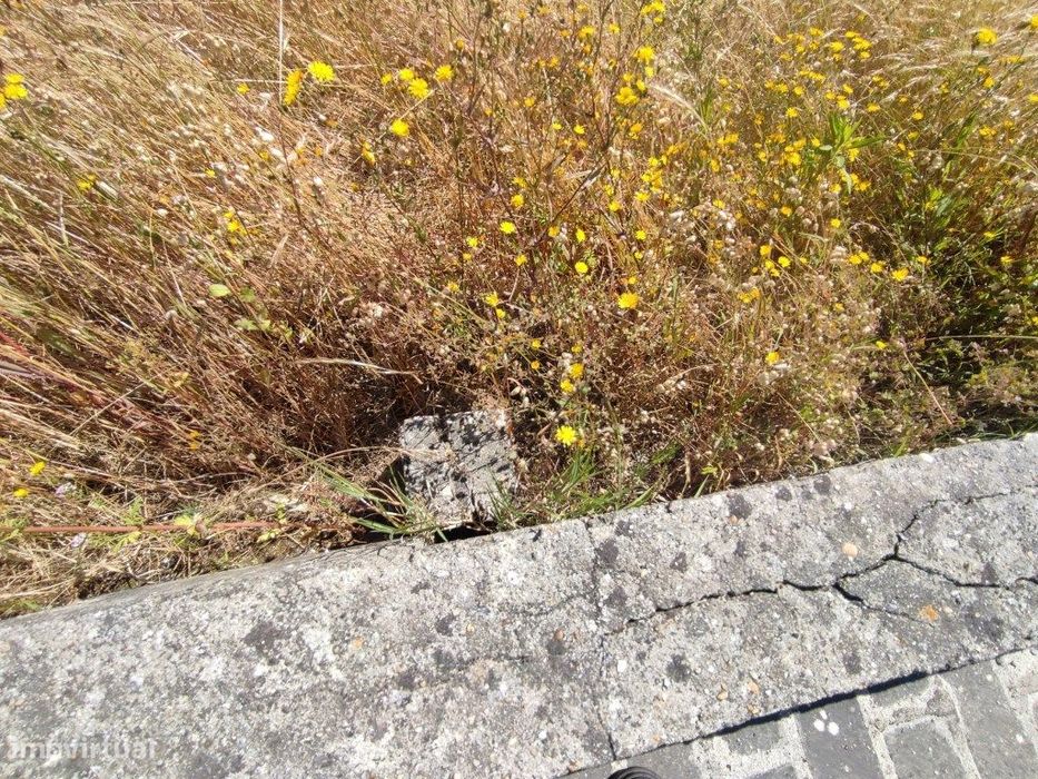 Terreno para moradia - Gafanha do Carmo
