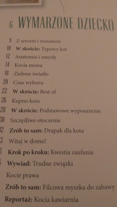 Koty. Wszystko co musisz wiedzieć