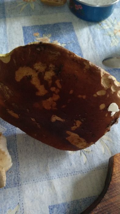 Камінь.  кремнію