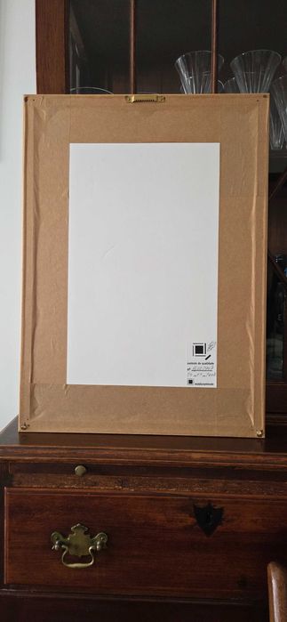 Posters de Bin Kashiwa