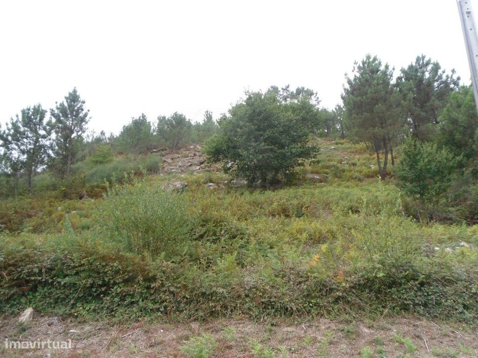 Lote de terreno — Vitorino das Donas, Viana do Castelo