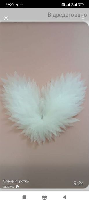 Костюми янголів ,