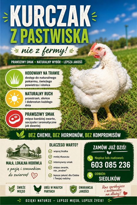 Tuszki kaczki oraz brojlera postwiskowego.