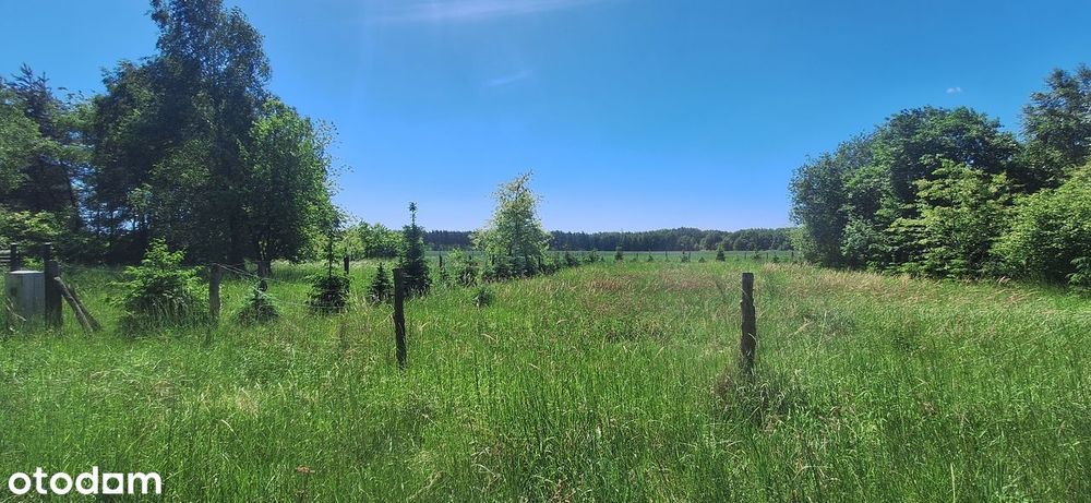 Sprzedam działkę 1224m2, Bednary, gm. Pobiedziska - bezpośrednio