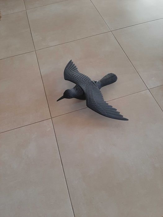 CORVO Plástico Anti-Pássaros