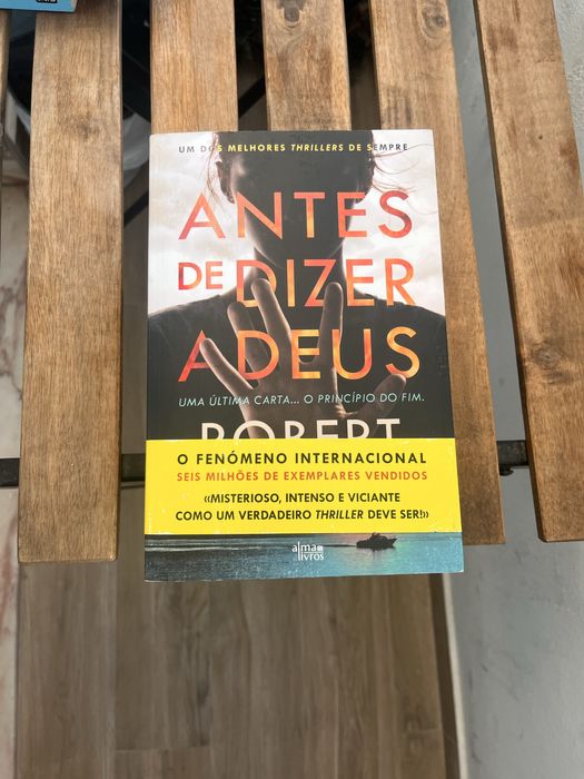 Antes de dizer adeus - Robert Brinzda