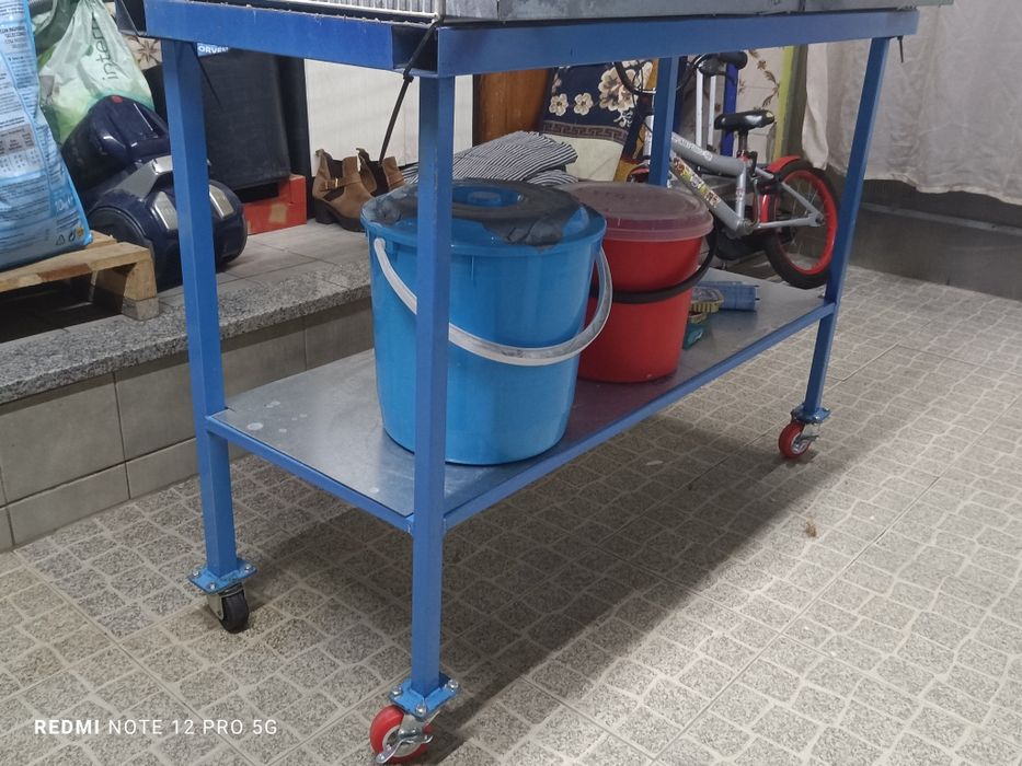 Criação Periquitos