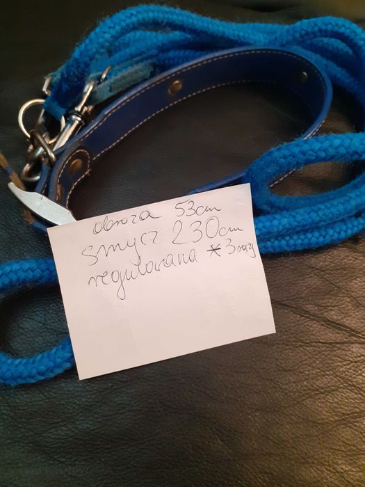 Obroża 53 cm regulowana smycz 230 cm niebieska