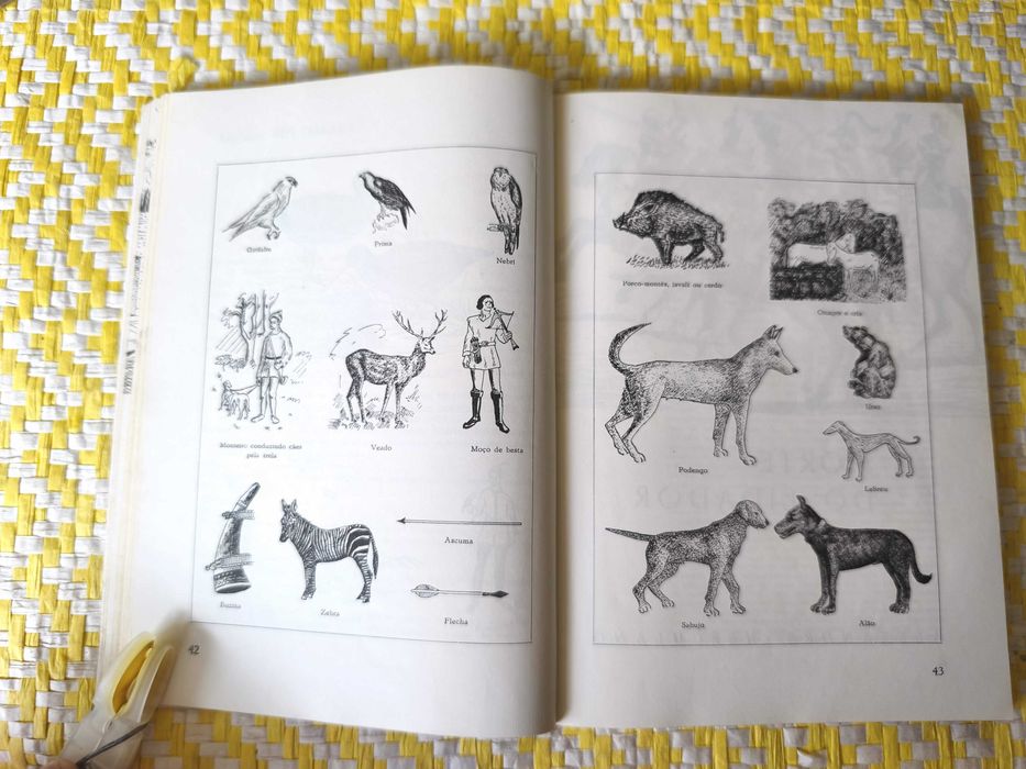 Antologia de lendas narrativas e contos