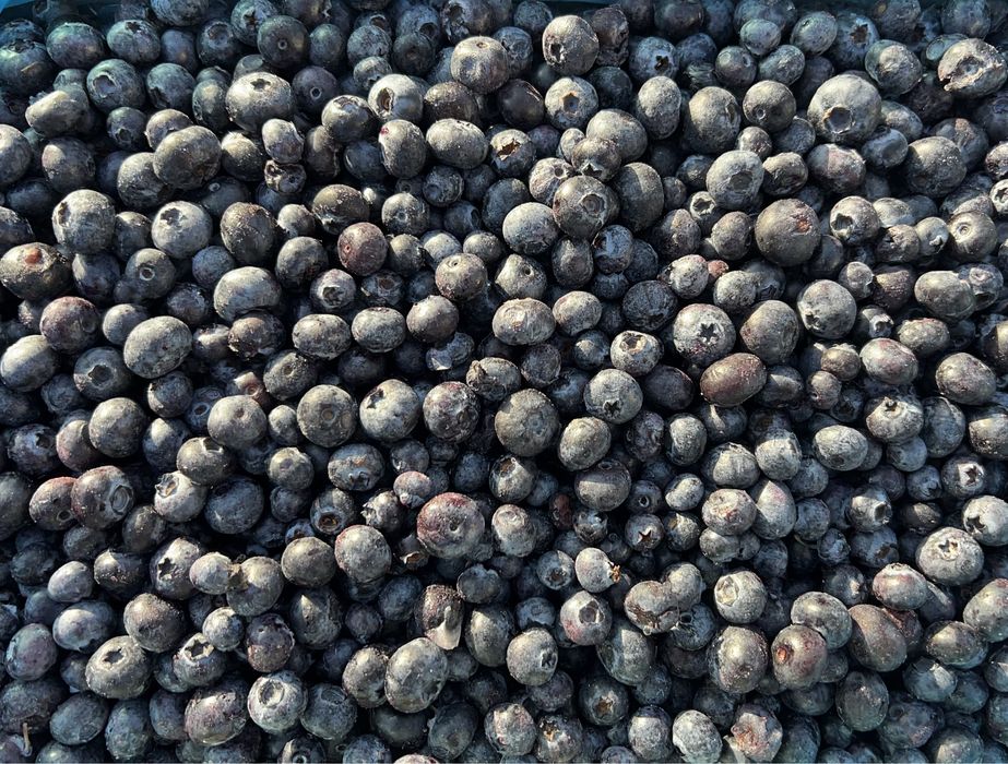 Malina mrożona -grys. Wysyłka InPost/Dostawa