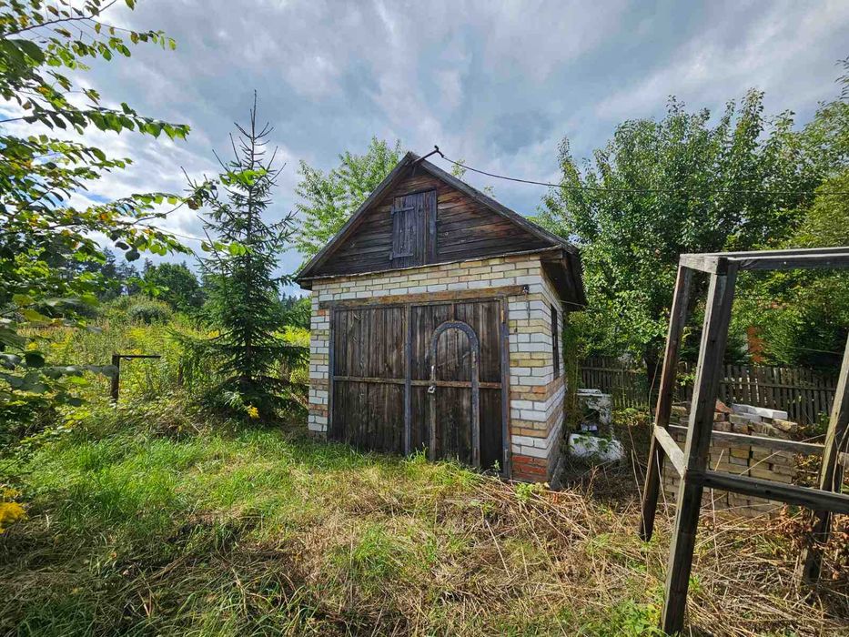 Дзвінкове 27 соток неподалік від лісу