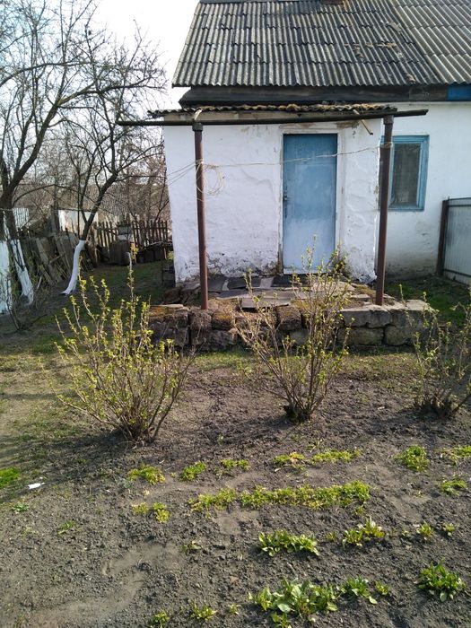 Продам будинок в с. Новый Биков