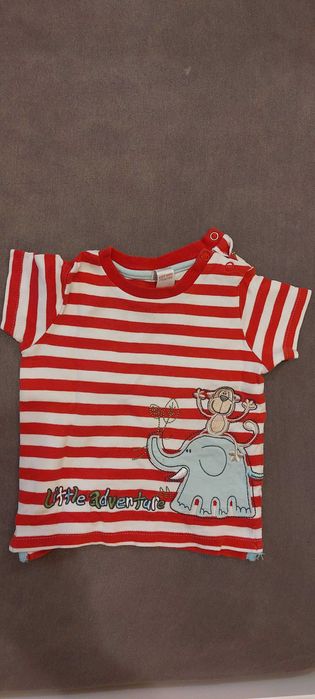 Komplet spodenki i tiszert r. 80