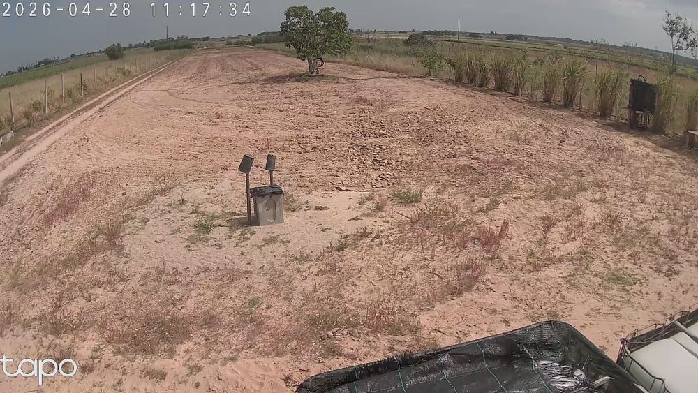 Arrenda -se  terreno  agrícola Almeirim