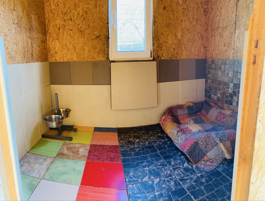 Перетримка домашніх тварин (ЗООГОТЕЛЬ) та послуги ГРУМІНГУ