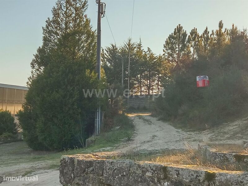 Terreno / Baião, Santa Cruz do Douro e São Tomé de Covelas