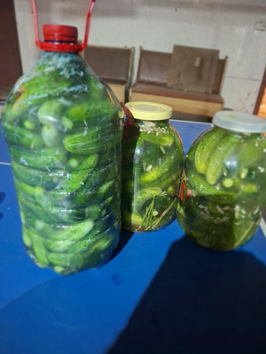 Аджика,огірки квашені