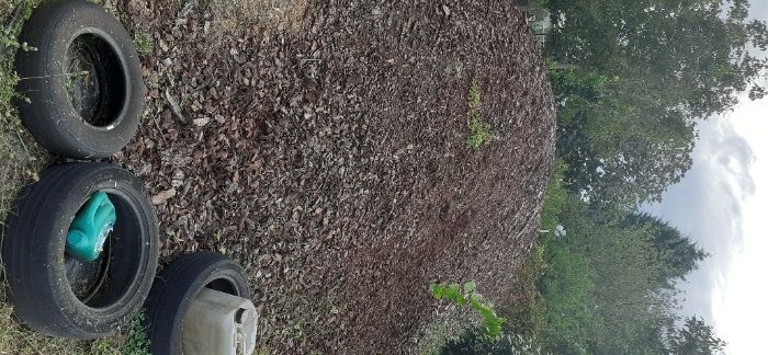 Vendo casca de pinheiro 25 eur por m3.