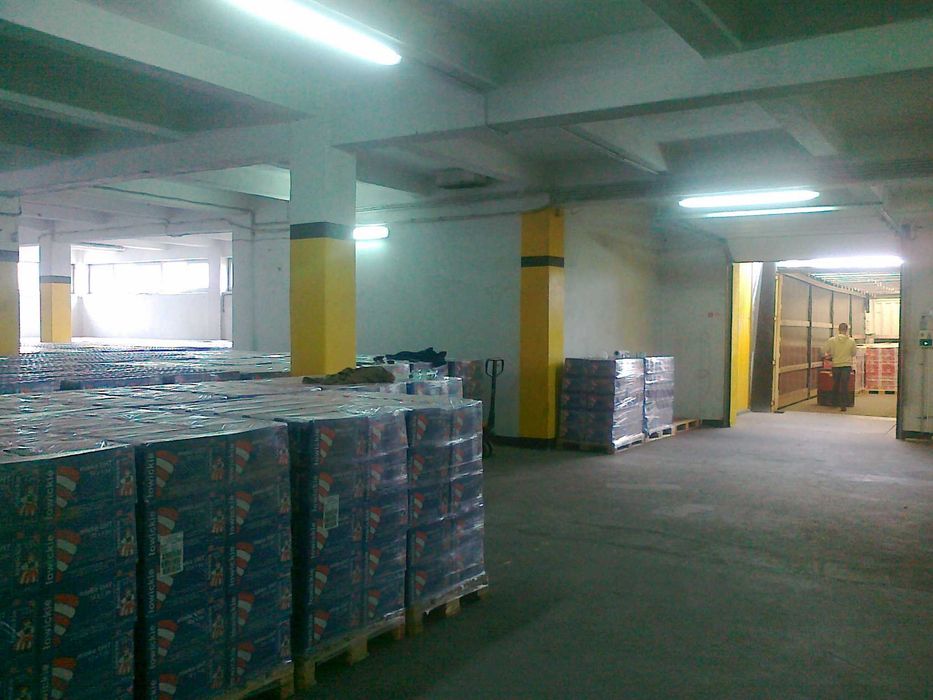 Magazyn piętrowy - wynajem - 2000 m2 Łowicz
