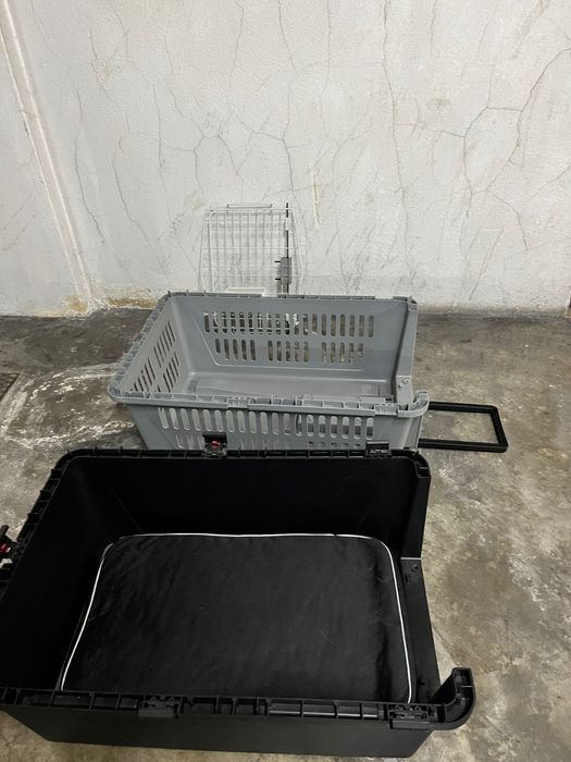 Transportadora para cão