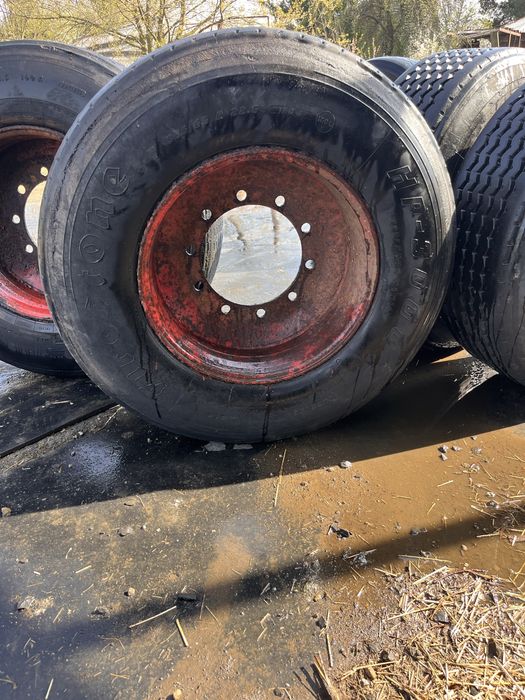 Opona plus felga do przyczepy brandys