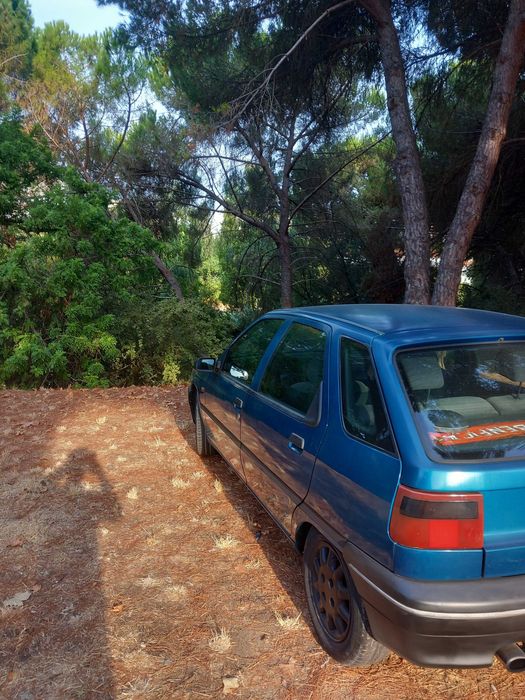 Citroen ZX diesel 1.4D