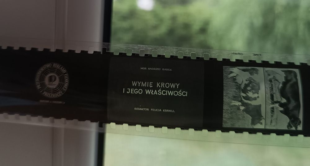 Slajd, film szkoleniowy weterynaria do rzutnika PRL