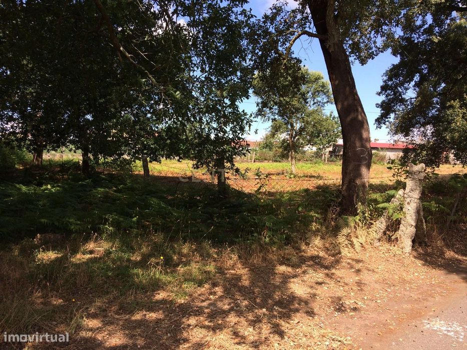 Terreno para Construção em Valença