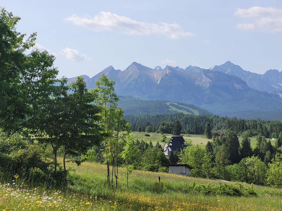 Działka rolna z widokiem na Tatry Góry około 5 arów