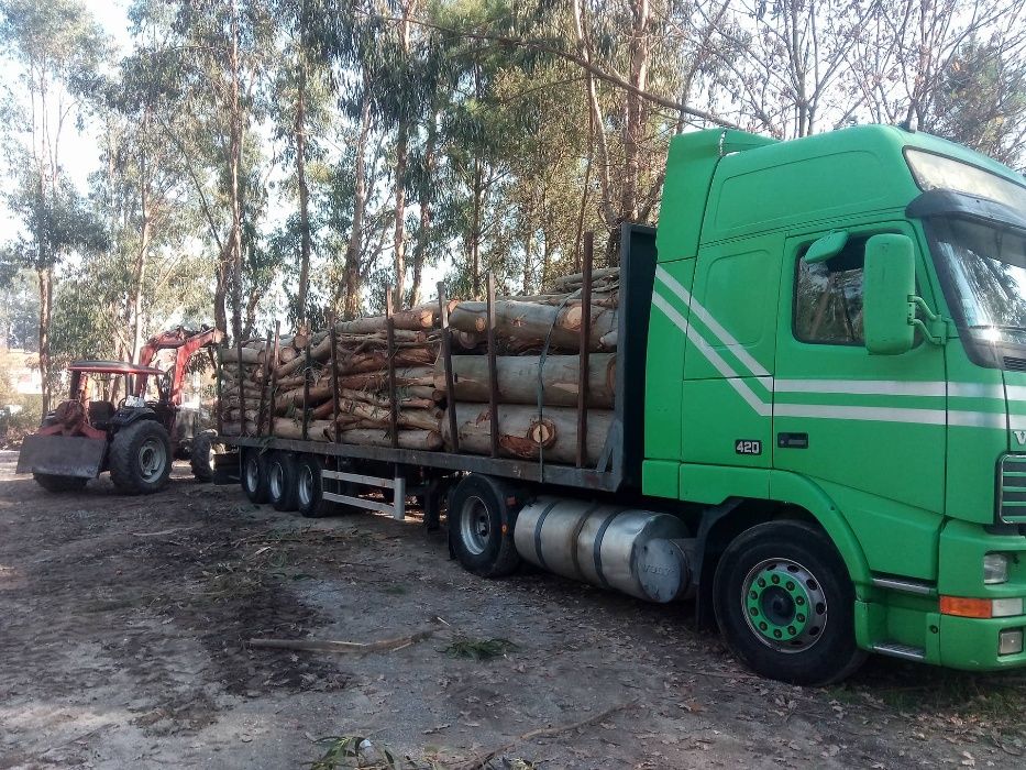 Corrida - Carros, motos e barcos em Braga - OLX Portugal