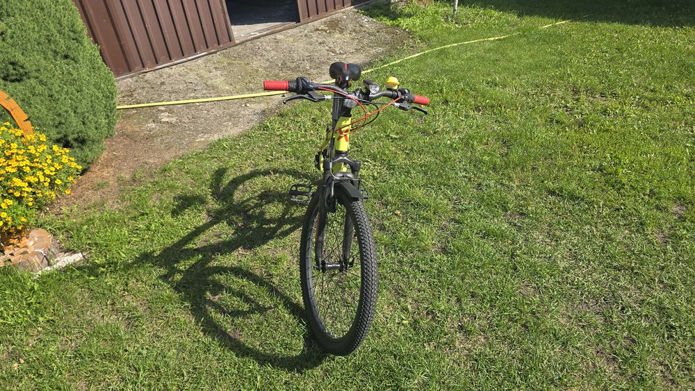 Rower XEED XCJR 24"
