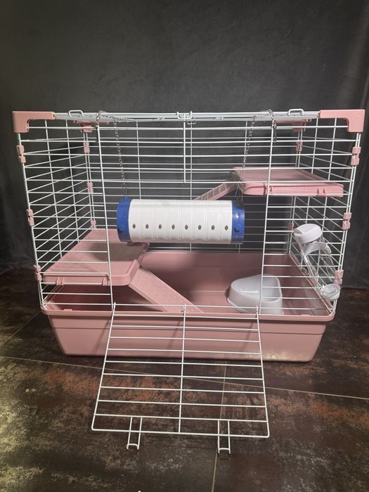 Морська свинка , guinea pig та апартамегти для них