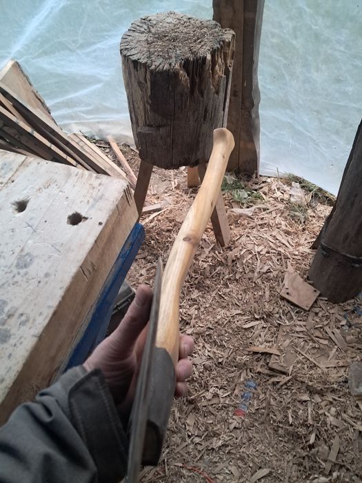 Toporek ciesielski prawy