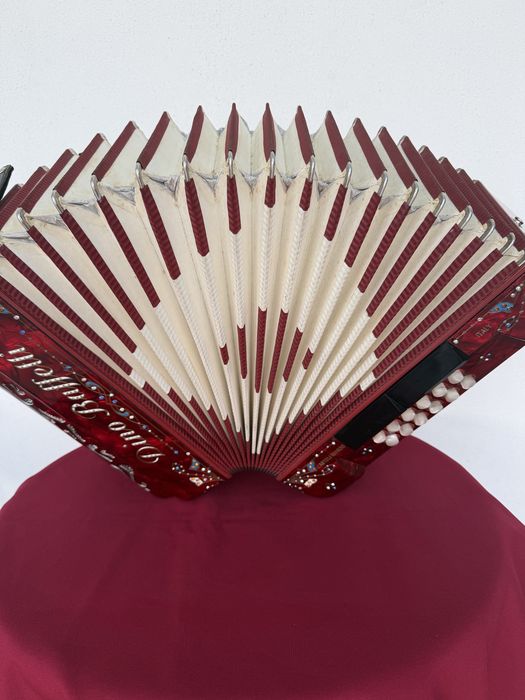 Concertina  Dino Baffetti