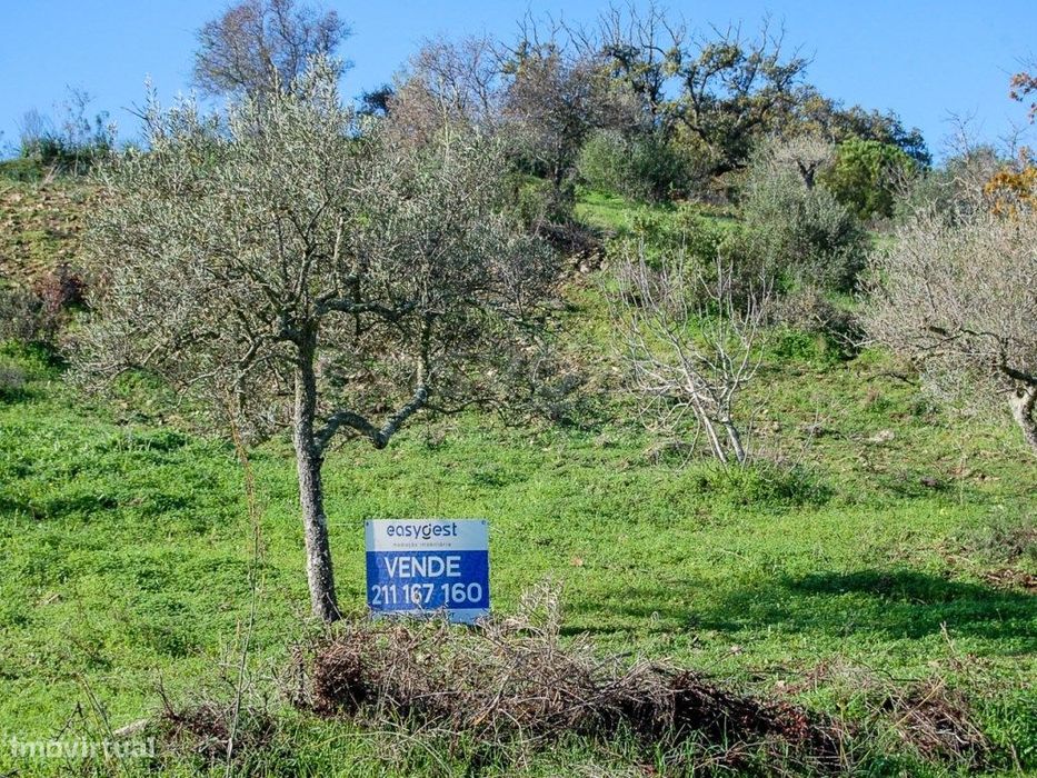 Terreno Rústico no Zambujal, freguesia de Vaqueiros - Alcoutim — Vaqueiros, Faro