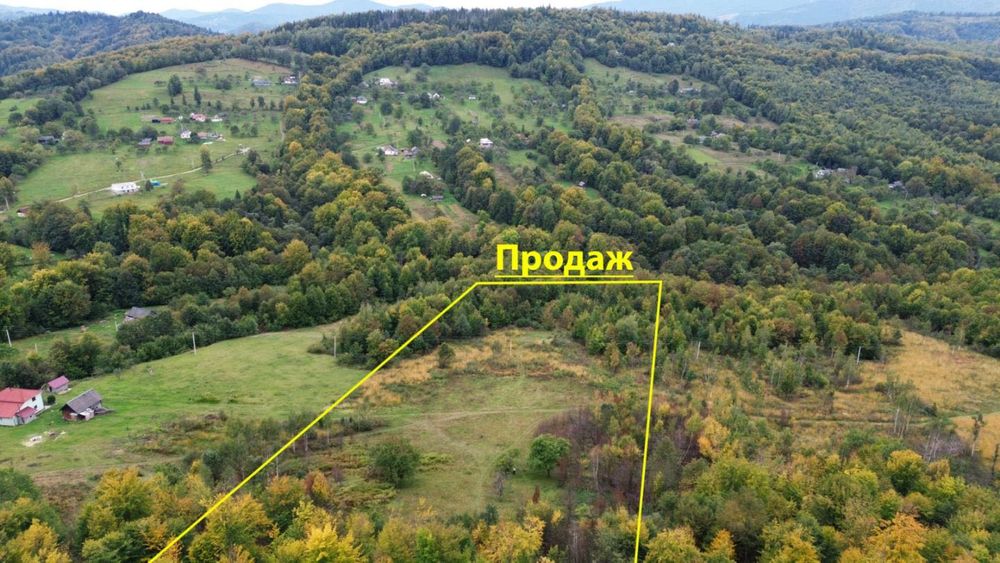 Ділянка в Карпатах.