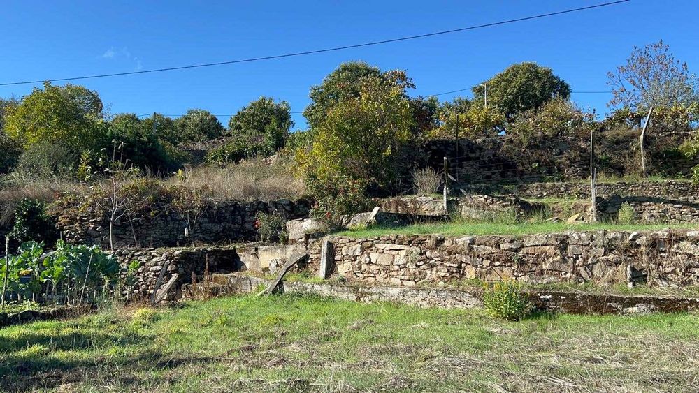 Oportunidade  moradia rustica