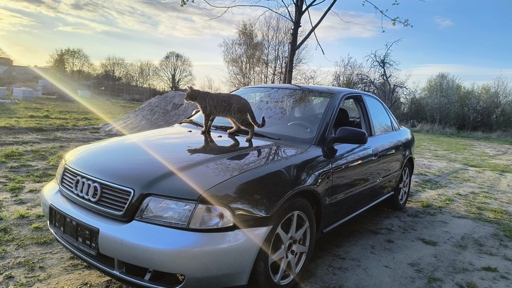 2 xa4 B5 quattro