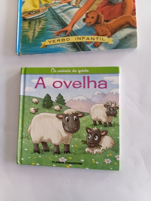 3 livros infantis (Rei Leão,Anita no Parque e A Ovelha)