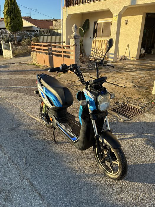 Mota elétrica Goose one