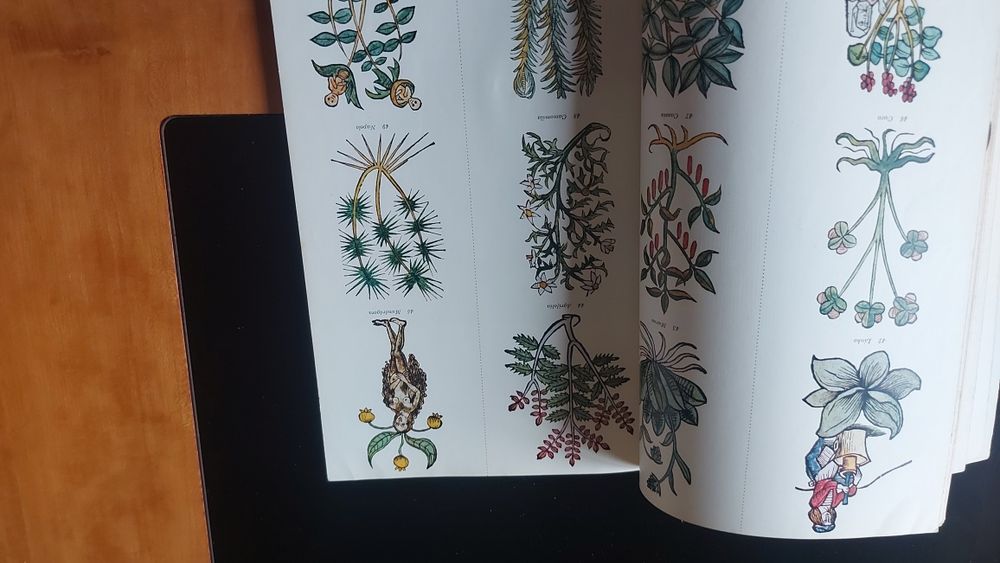 História da Química de Charles-Albert Reichen